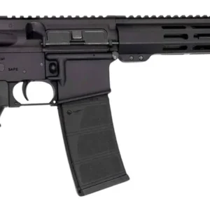 Andro Corp Industries 30016BB ACI-15 Bravo 300 Blackout 30+1 16" Black Nitride Threaded Barrel, Black Anodized Aluminum Receiver w/Picatinny Rail, M-LOK Handguard, M4 Black Polymer Stock, Black A2 Gri
