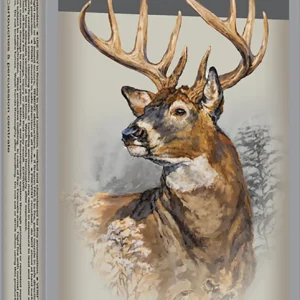 Winchester Ammo X223WSS1 Power-Point 223WSSM 64gr 20 Per Box/10 Case