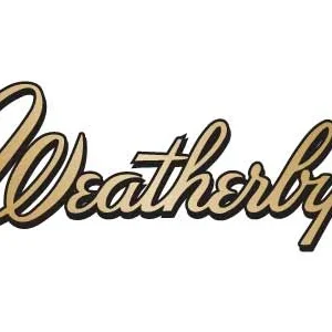 WEATHERBY VANGUARD BLACKHILLS 350LEG HB