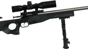 Crickett 22 LR Precision Rifle Black Package Stainless .22 LR Single Shot 16 1/8" Barrel